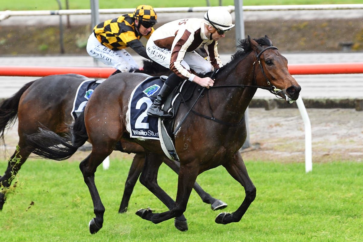 Class of Legarto shines through
