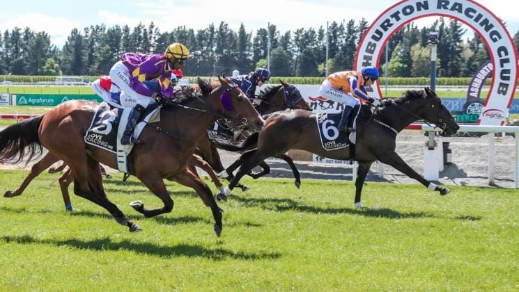 On The Bubbles back at winning best