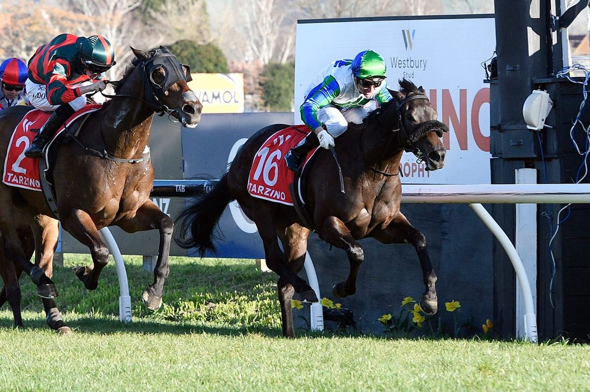 Skew Wiff set for Australian debut
