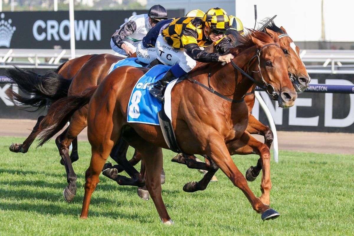 Holymanz returns to Flemington a winner