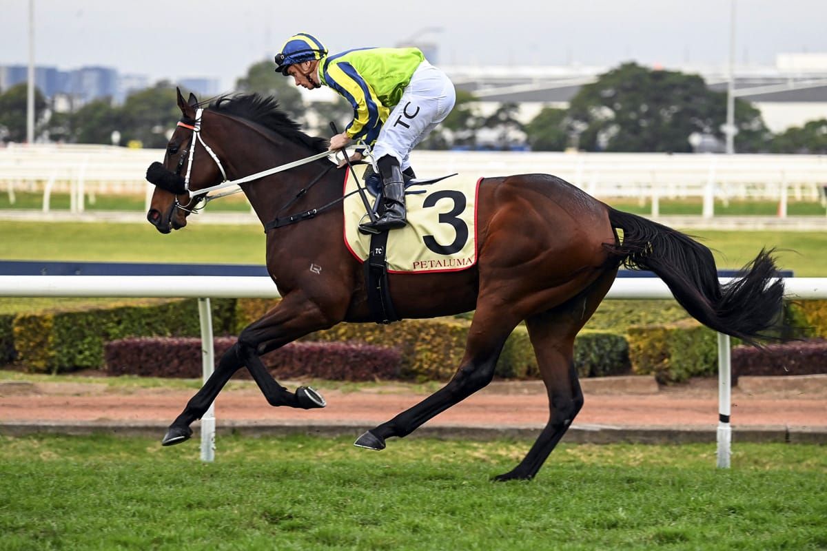 Kalapour faces last chance to gain Cup start