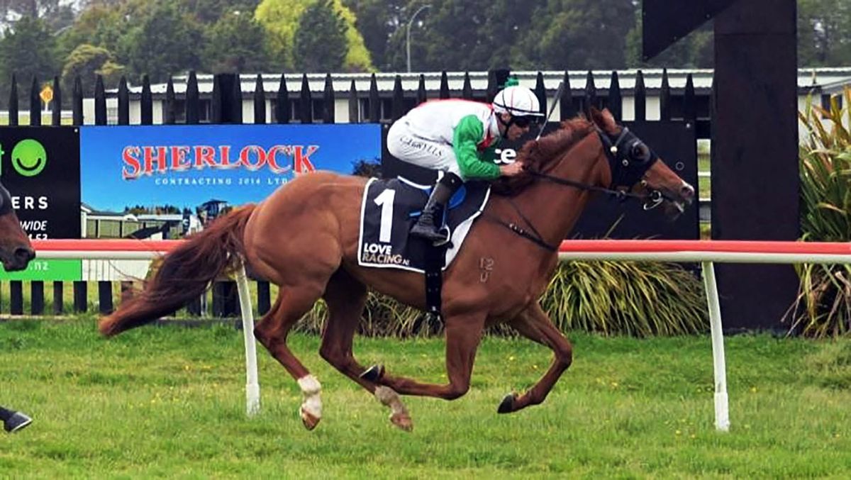 Busy Saturday ahead for Forsman