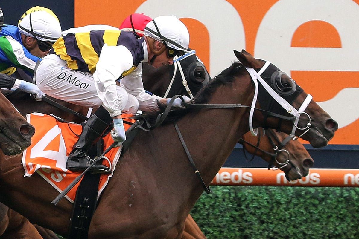 Highview delighted to have another Cup contender