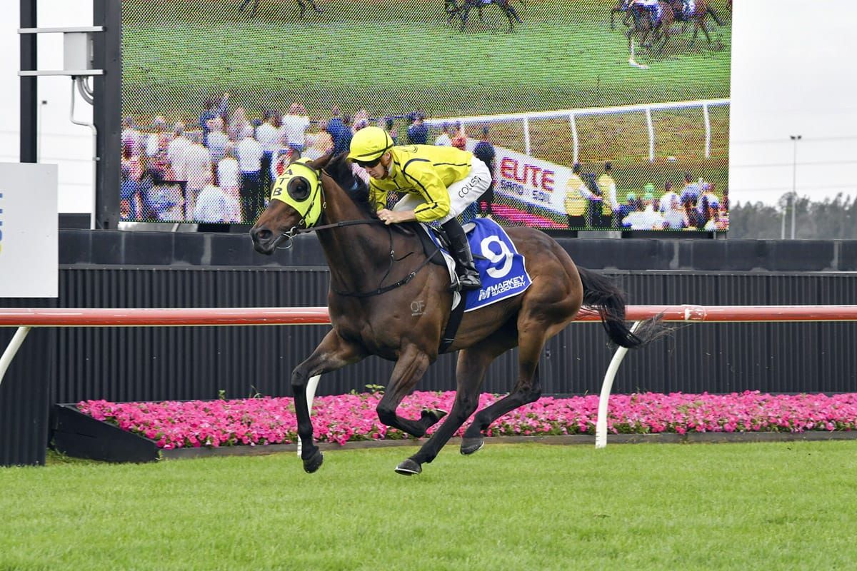 Gong winner locked in for Ingham