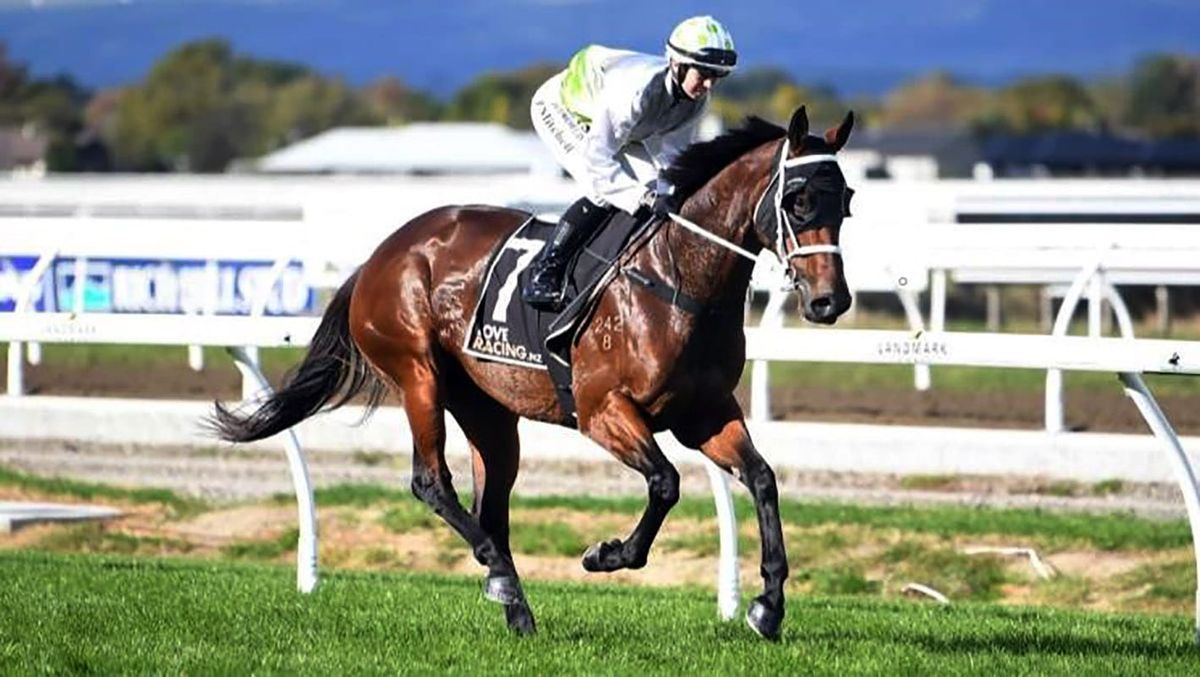 Australian experiment for Express Yourself