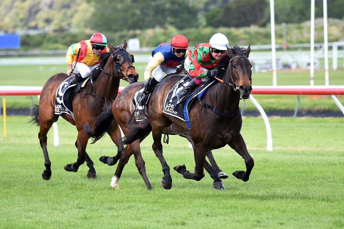 Faraglioni on track for bigger targets