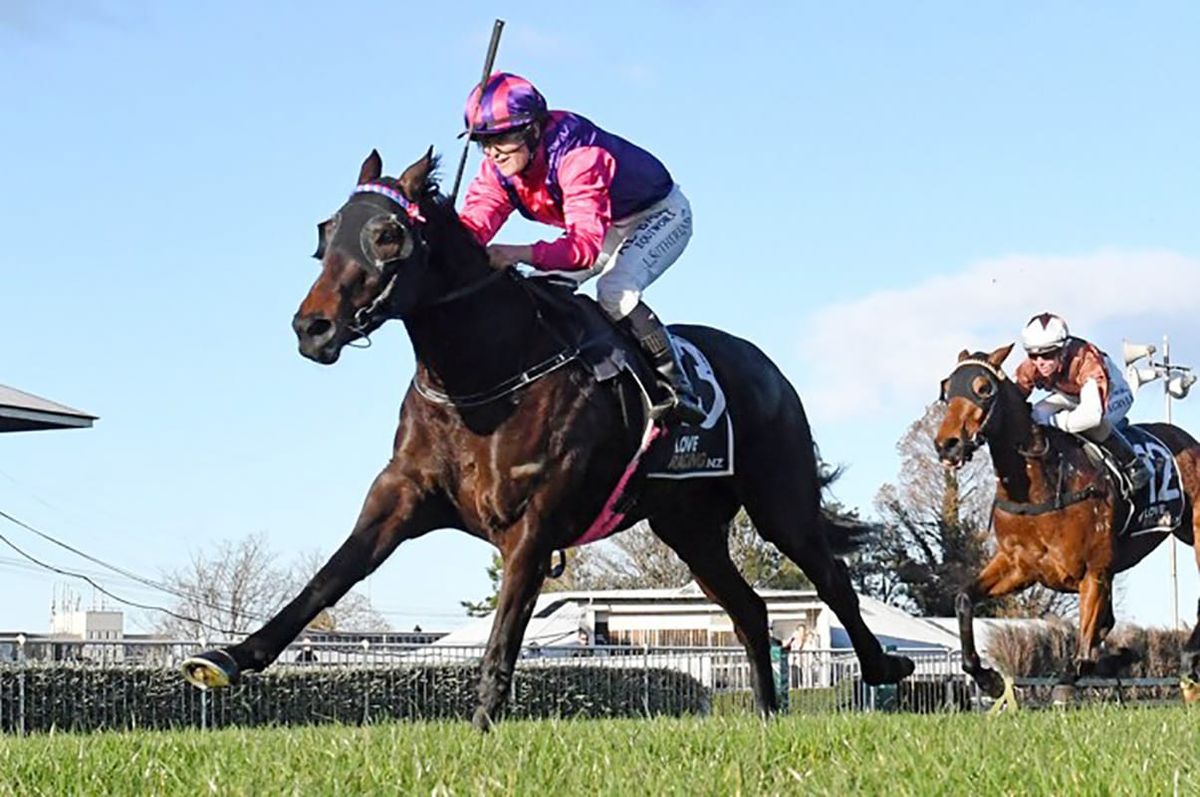Bambry looking to make most of Flower Of Wanaka's racing days