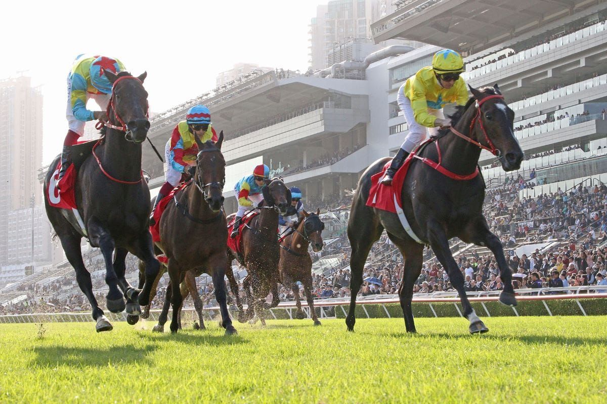 Ready To Run Graduate Lucky Sweynesse wins again