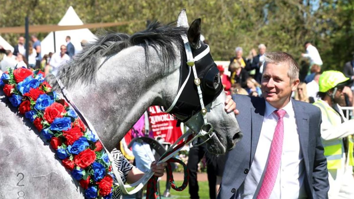 Nest Egg primed to crack on to New Zealand Cup