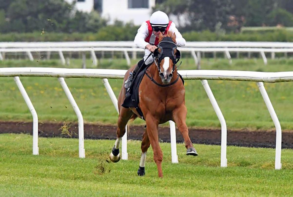 Poetic Champion primed for star-studded clash