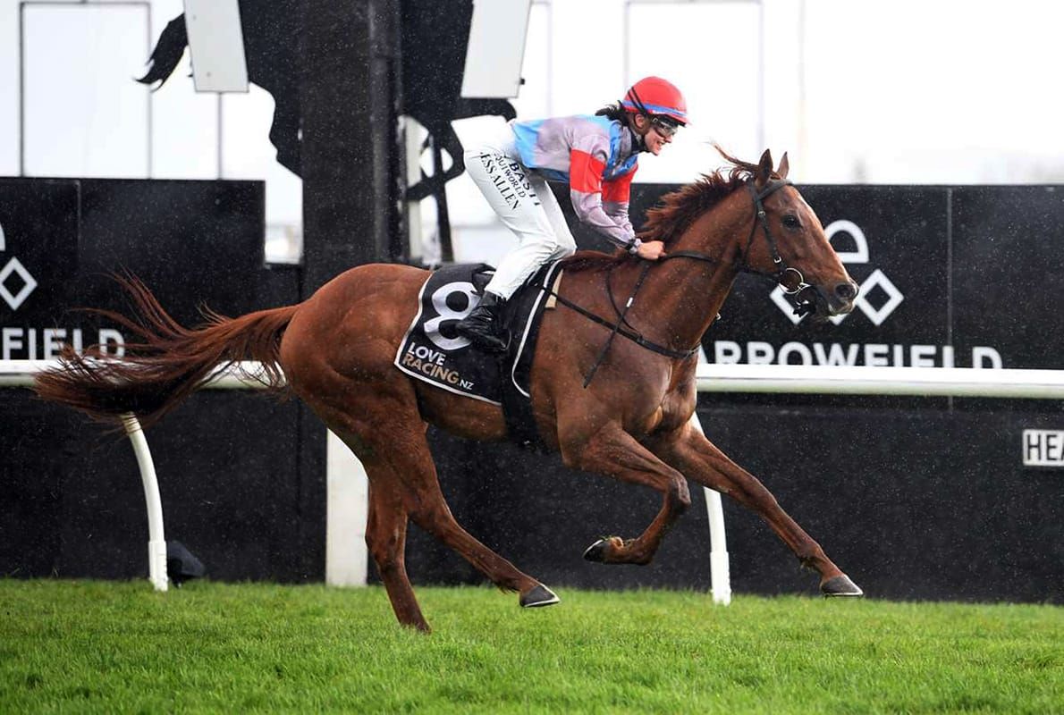 Semper Magico on stakes path