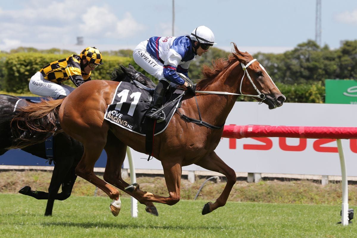 Velocious gets debut win at Te Rapa