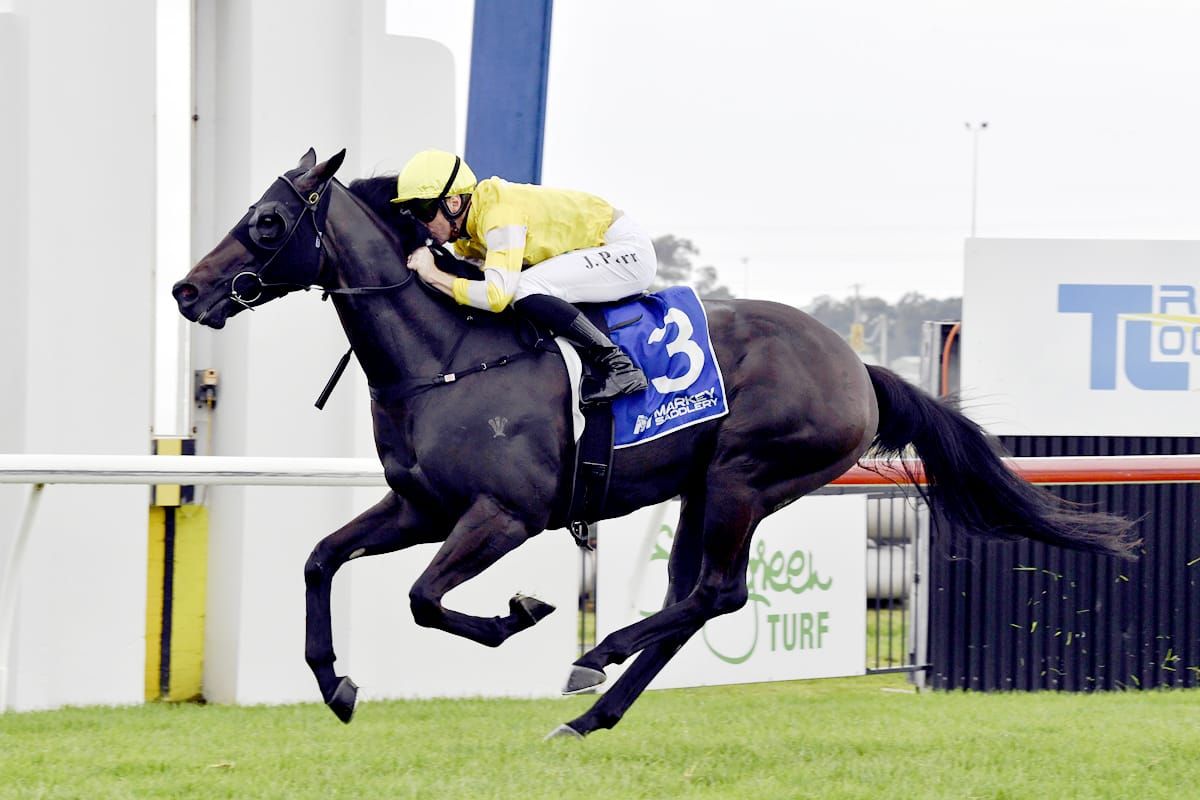 Wet track no worry for With Your Blessing