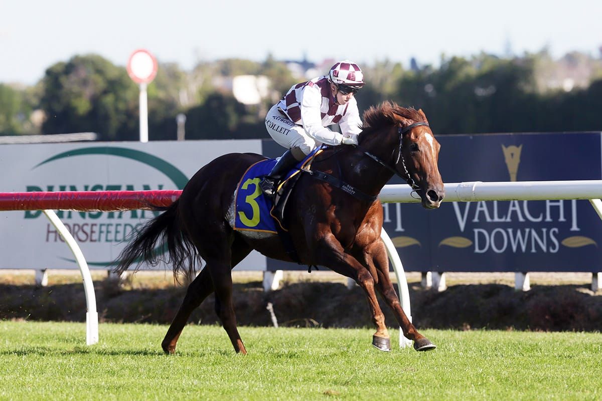 Foote delighted with new surface at Ellerslie