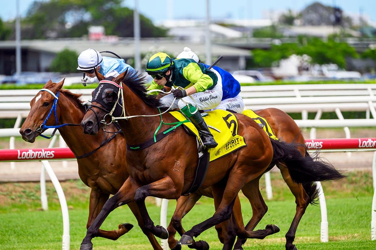 Beau Dazzler strikes in Phelan Ready