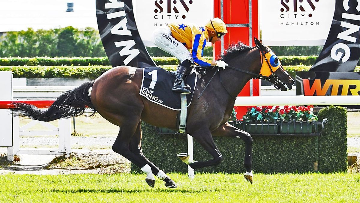 Group Two win sets Campionessa up for Group One goal