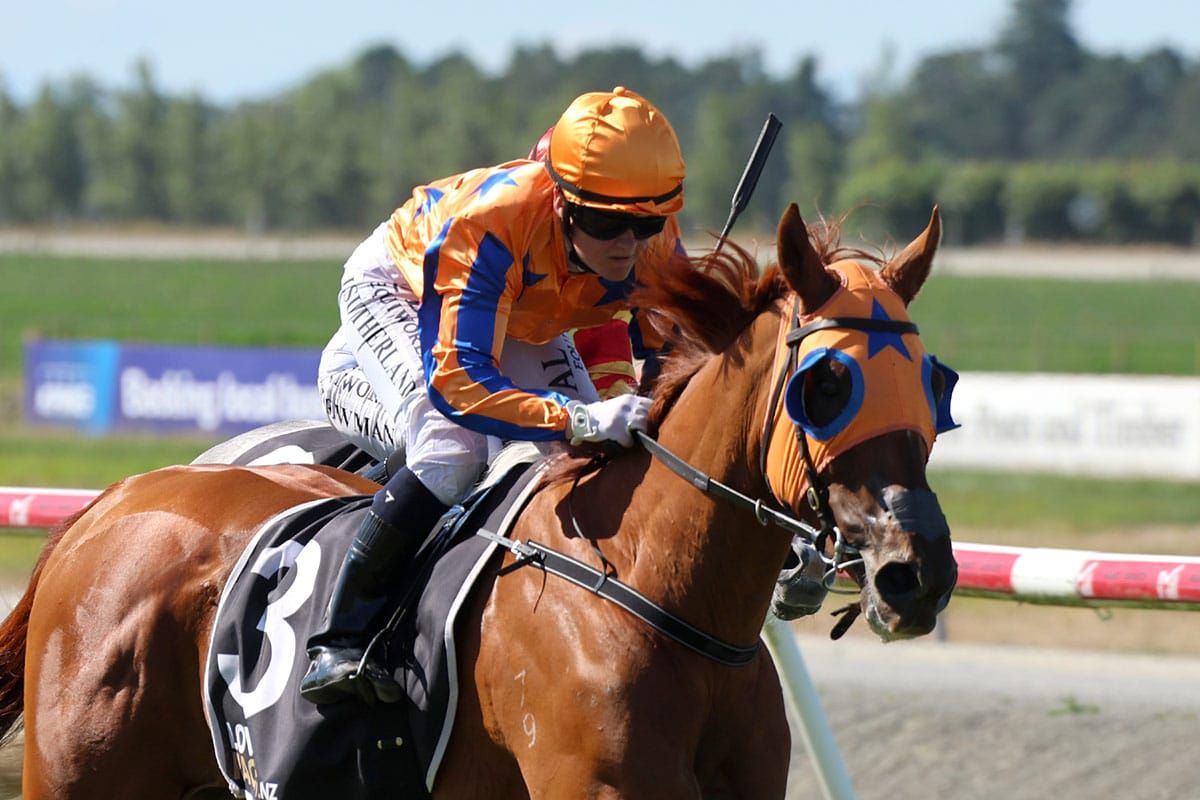 Elegant Lady notches up three in a row
