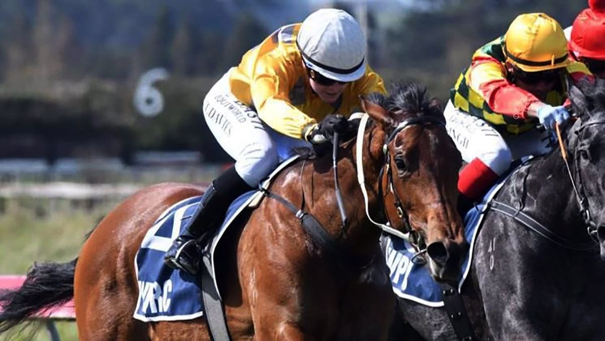 Fashion Icon on song for Trentham