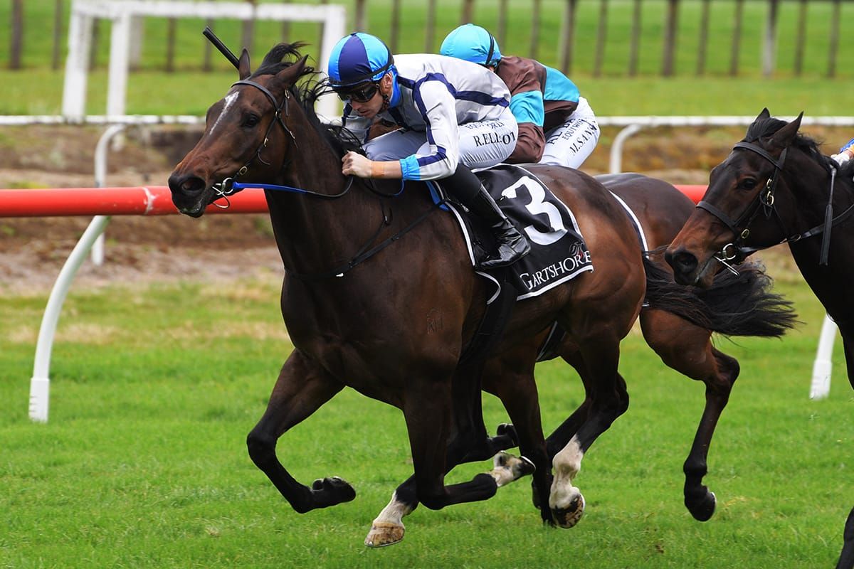 Lupo Solitario in doubt for Bonecrusher