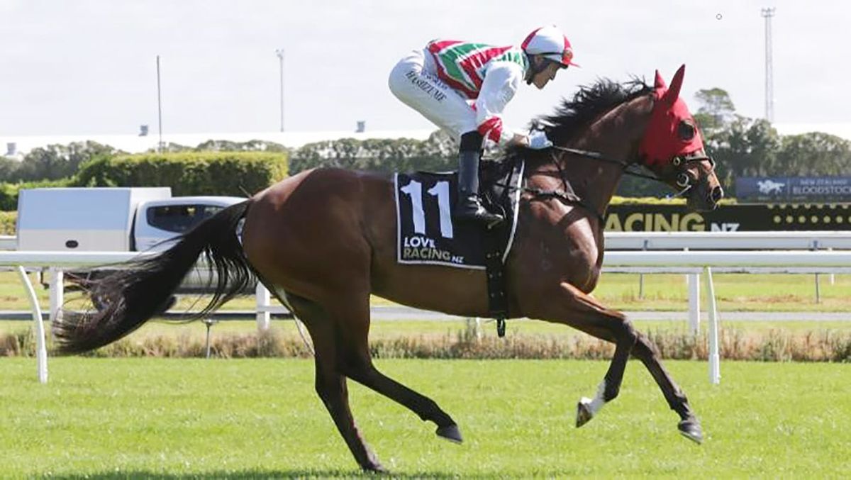 Time for talented mare to head to Trentham
