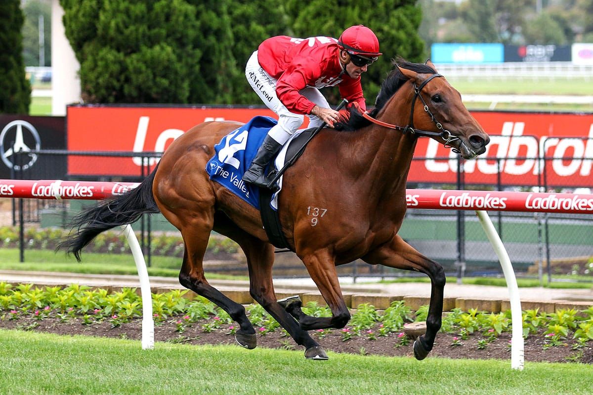 Hat-trick for Miss Tarzy