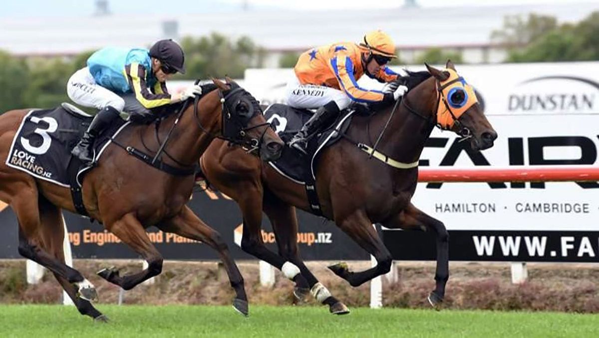 Promising two-year-old looking for breakthrough win