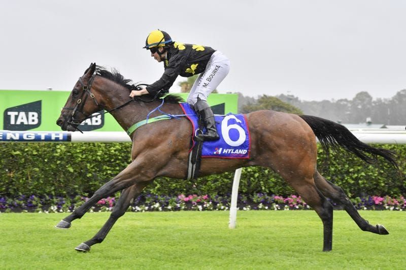 Debut winner a family affair for Sargents