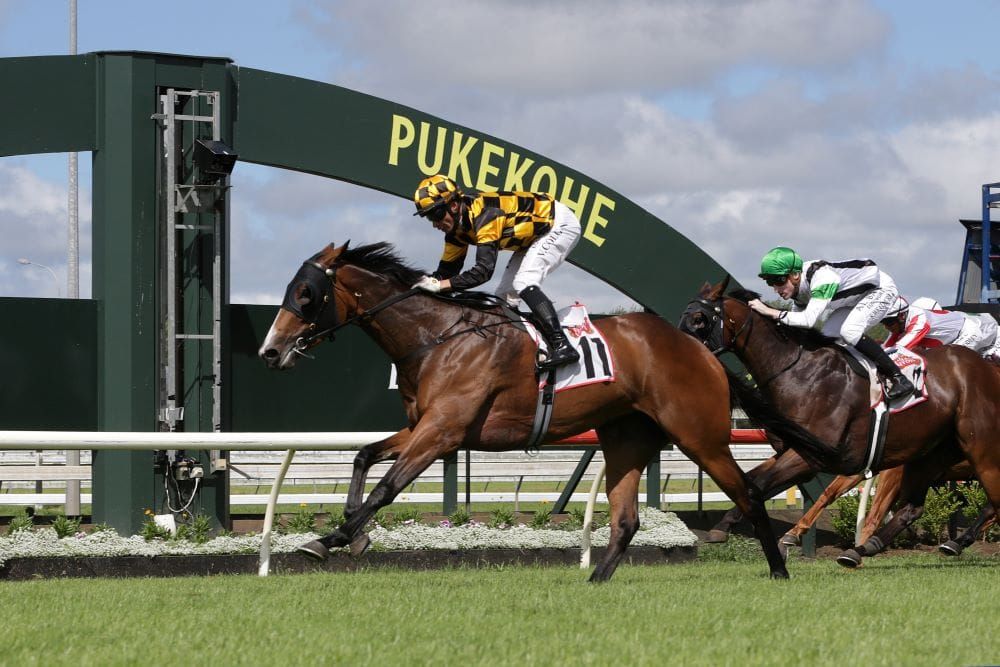 Snazzytavi eying bigger targets