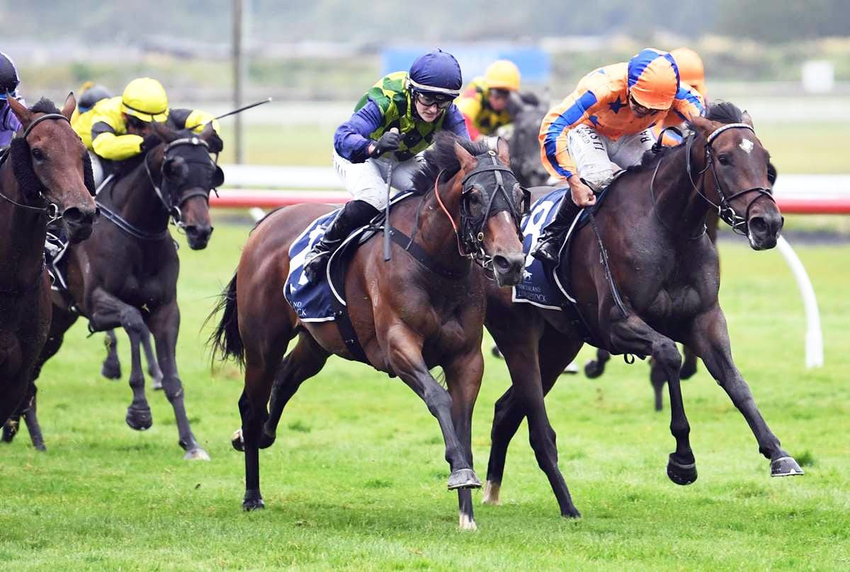 Smart filly Bangon in Eulogy