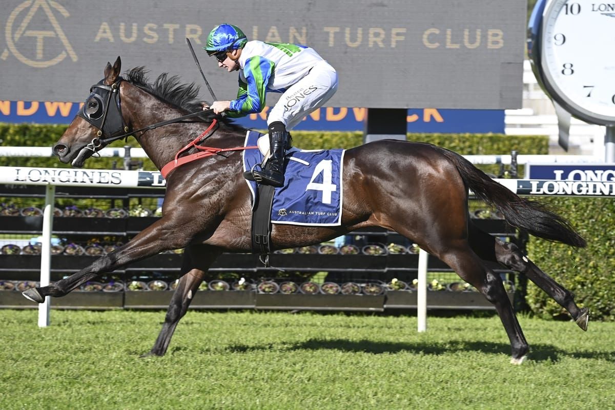 Waihaha Falls fresh for Razor Sharp tilt