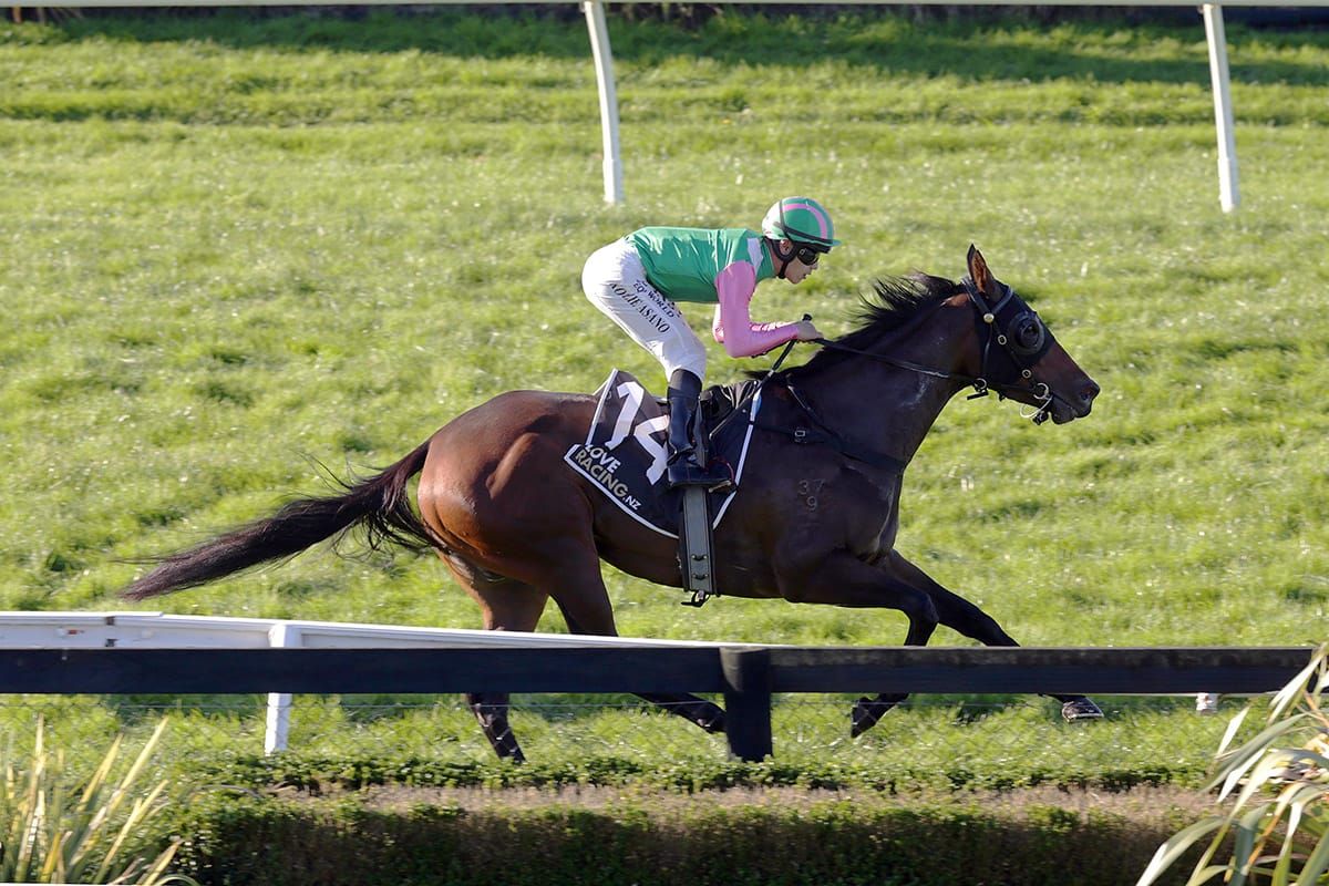 Wessex to resume in Group Three