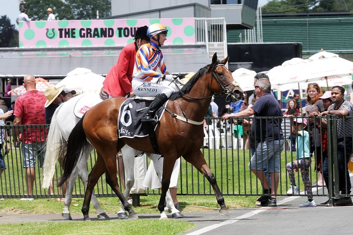 Favourites Draw Side by Side in TAB Karaka Millions 2YO 