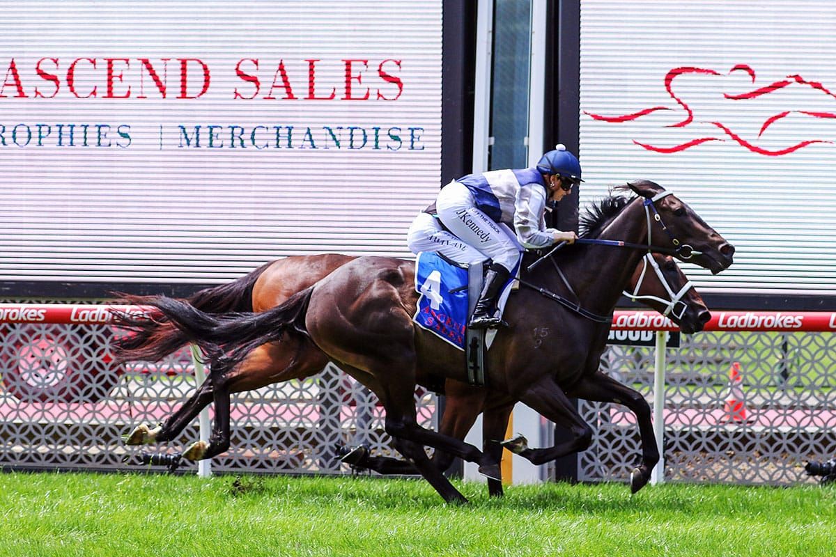 Ceerseven strikes at The Valley