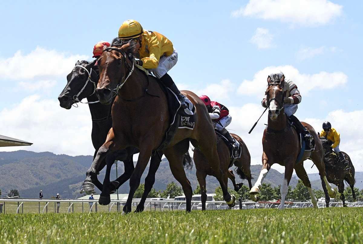 Fashion Icon seeking black-type at Trentham