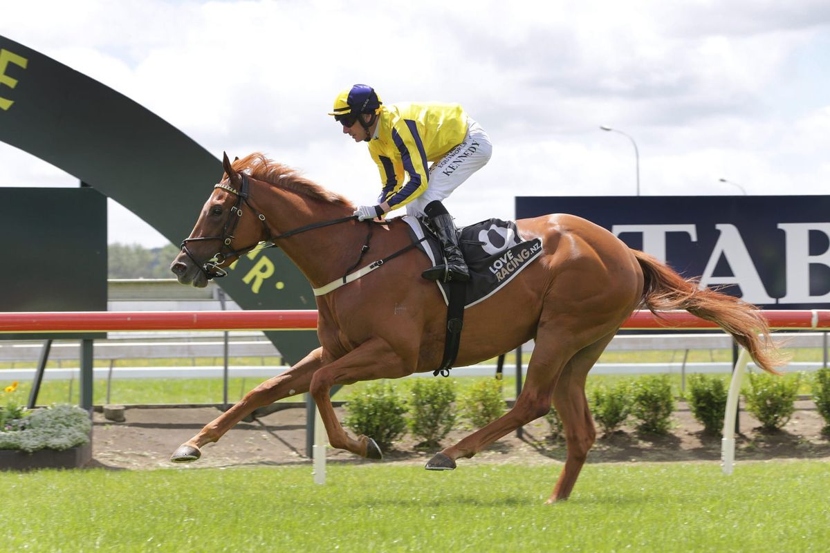 Grande Gallo on track for bigger targets