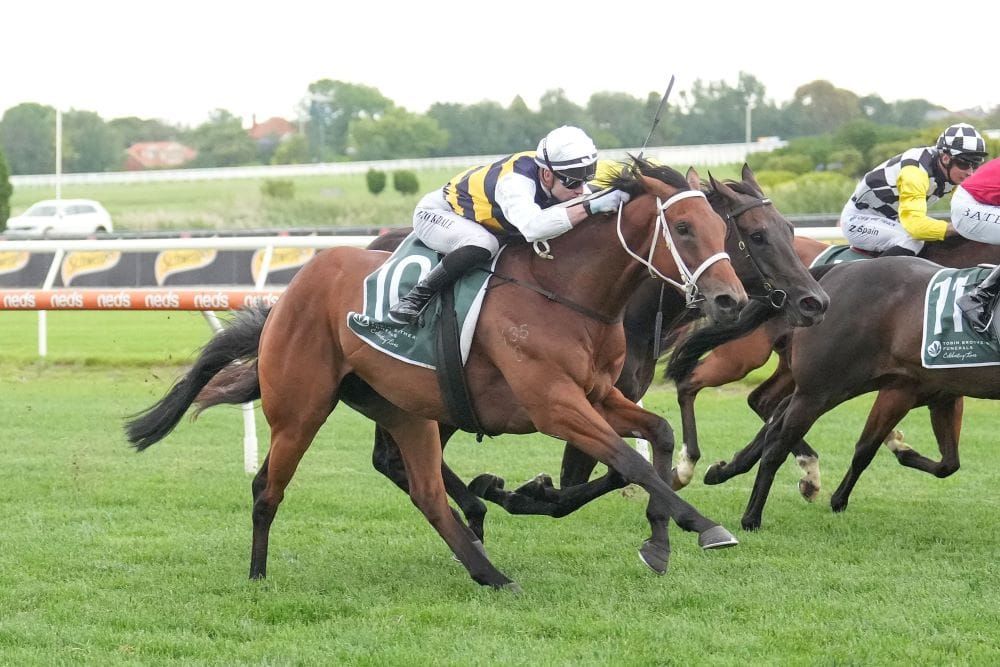 Up in trip ideal for Interlinked