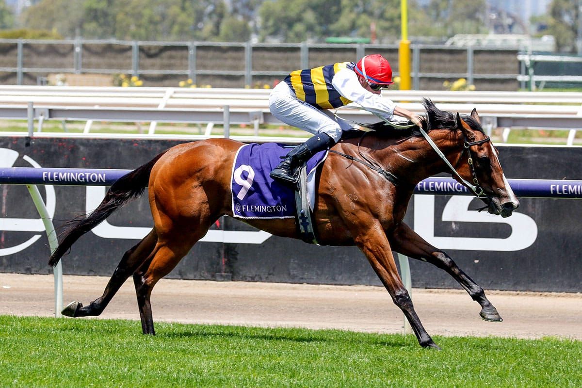 Up-and-comer Krementz strikes at Flemington