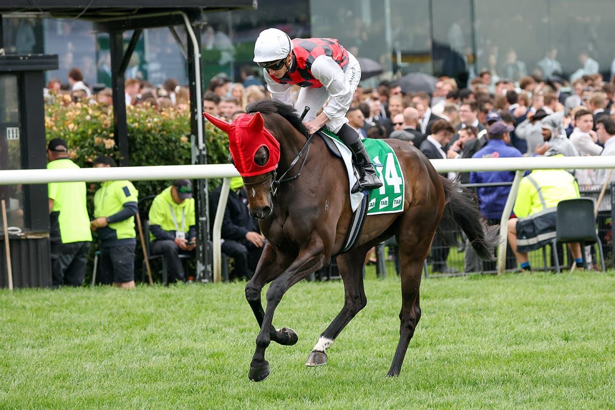 La Crique ready to resume on Karaka Millions night