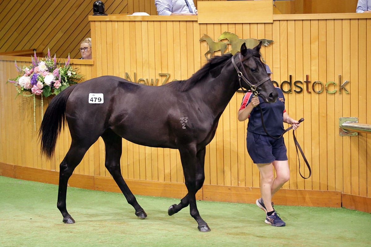 Quality filly adds to big week for Elsdon Park
