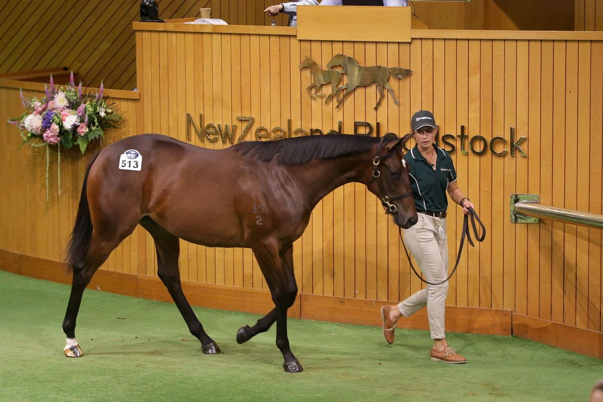 Wootton Bassett makes mark at Karaka