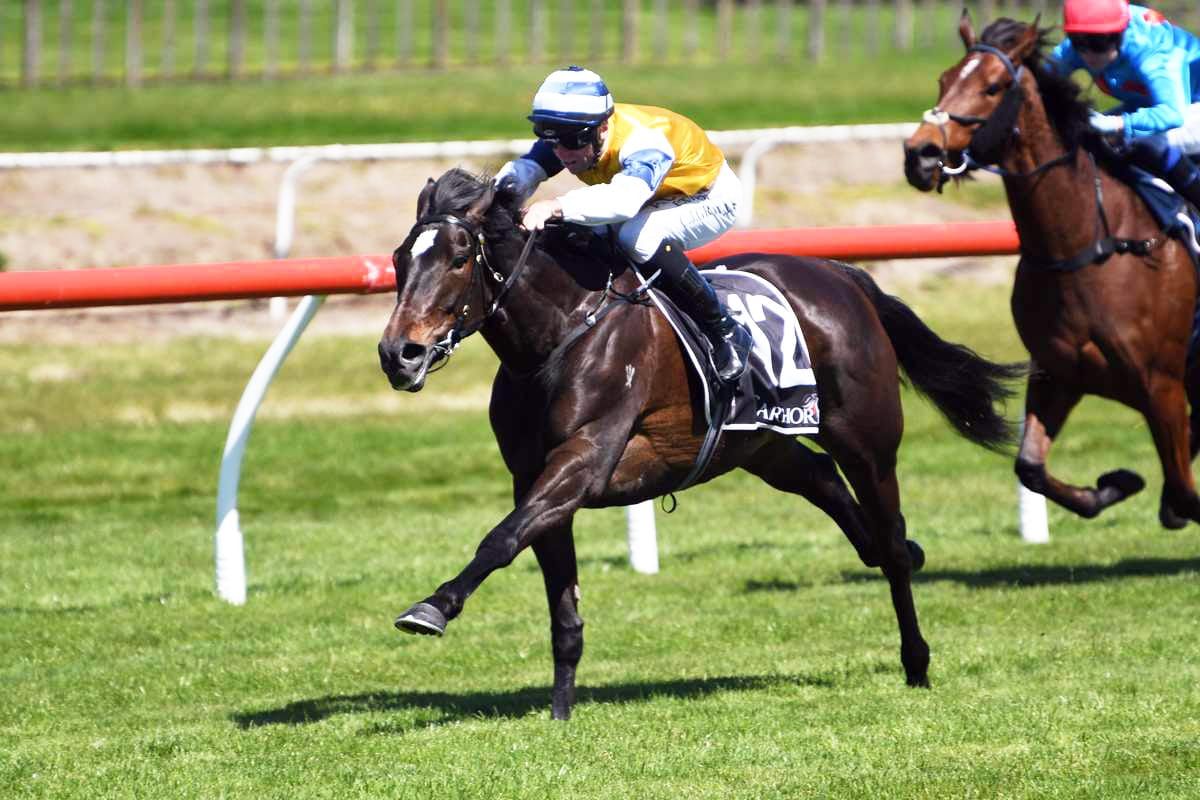 Mary Shan up for Group One challenge