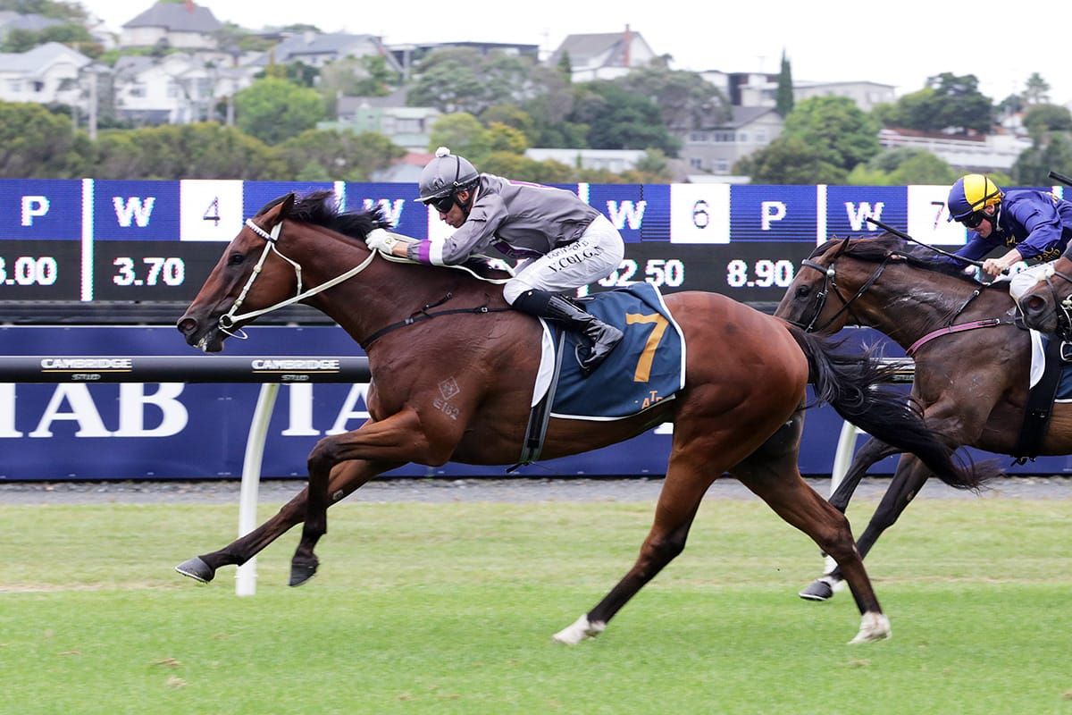 Master Fay cruises to Concorde victory