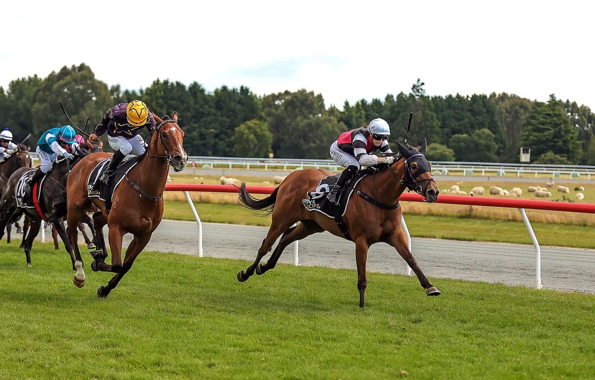 Aberlour tough in Gore Guineas