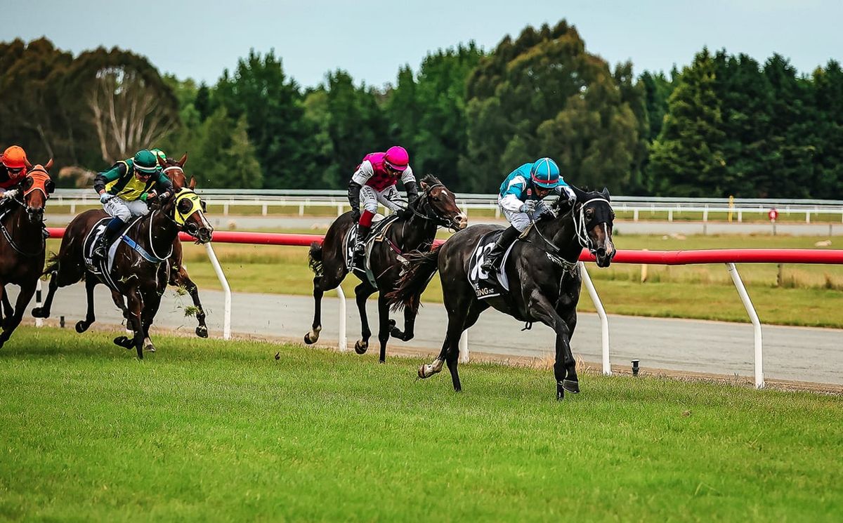 Turner to be represented by first stakes runner