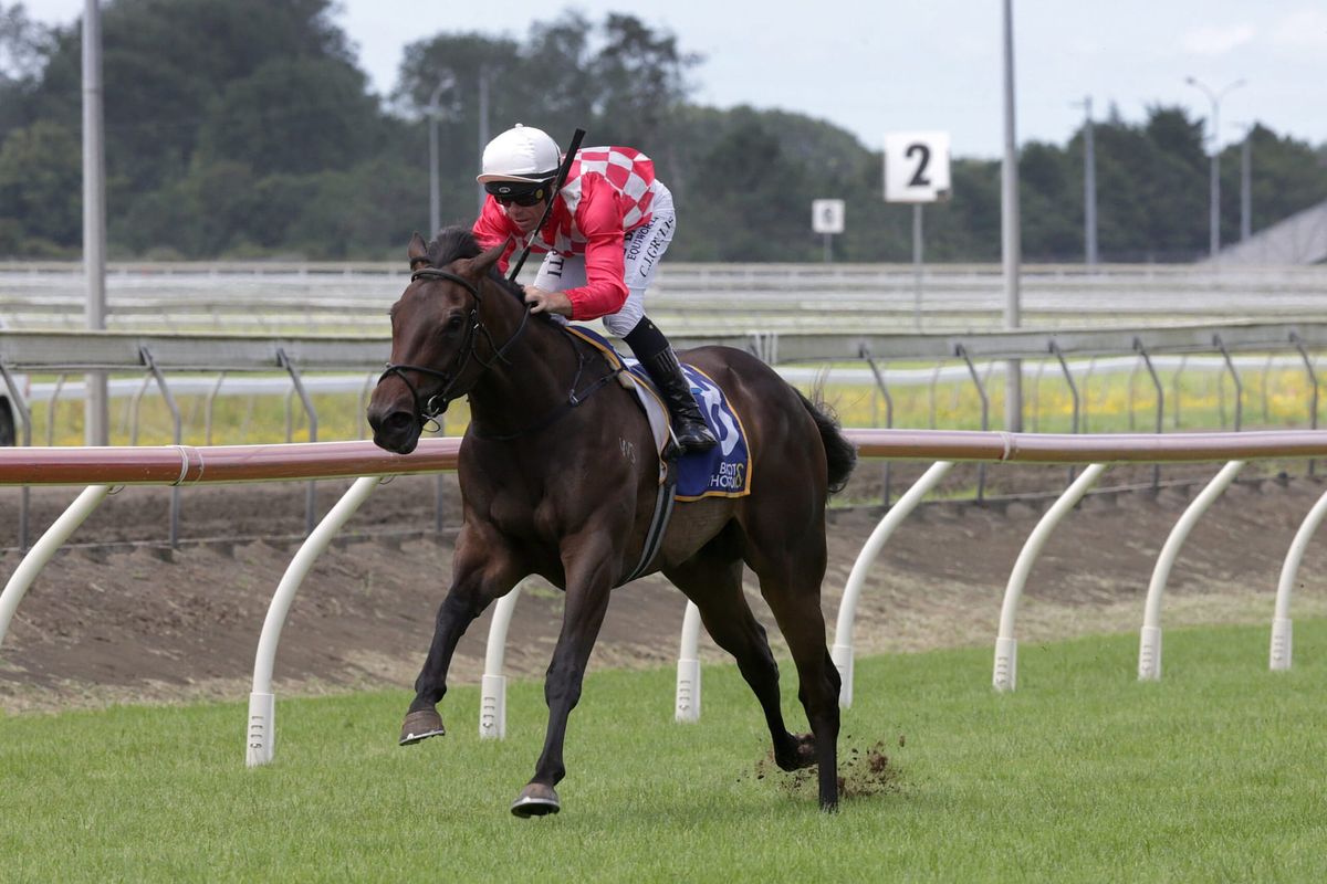 Orchestral impressive at Pukekohe