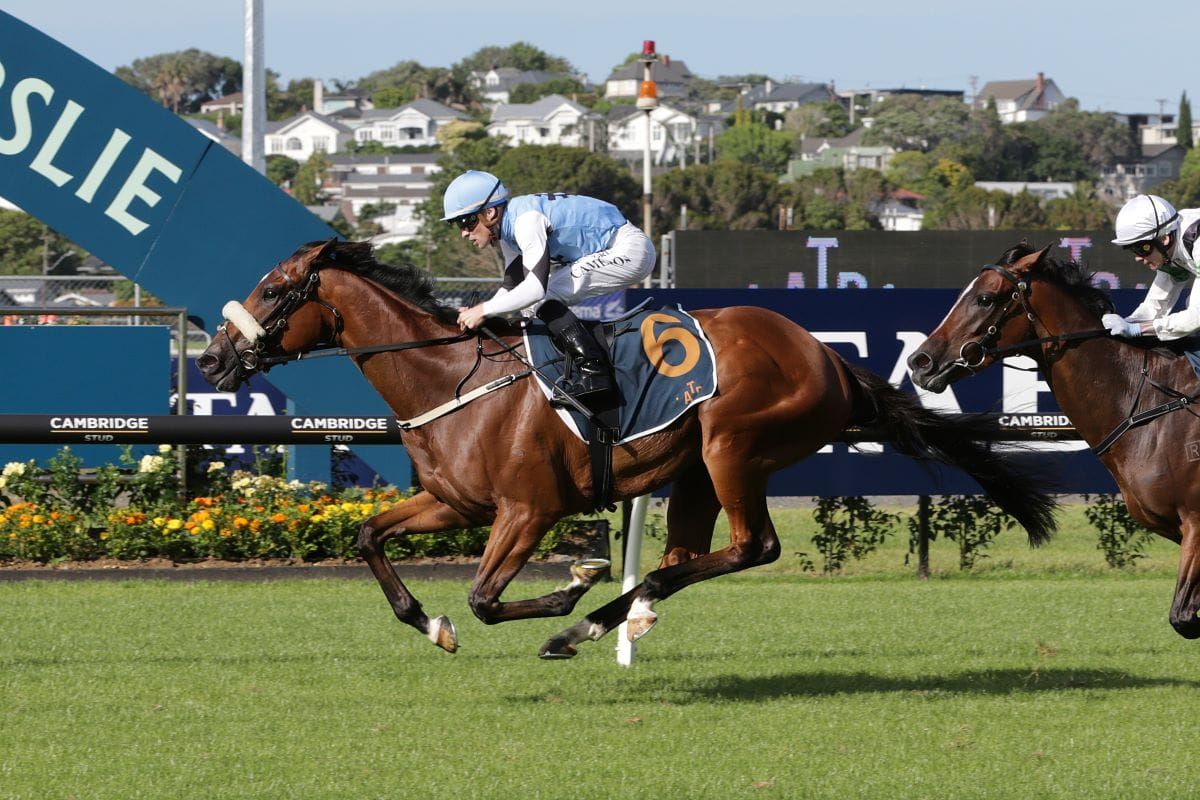 Renegade Rebel wins Gingernuts Salver at Ellerslie