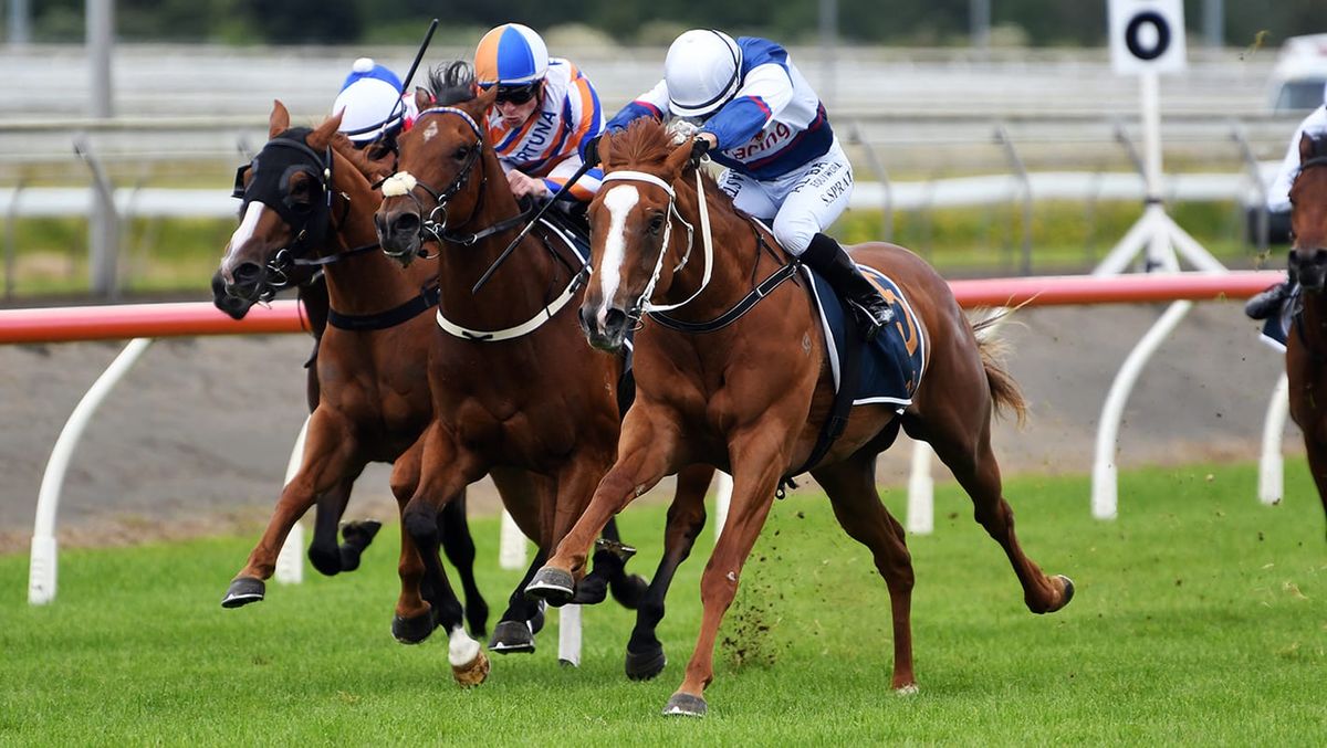 Go Racing hoping lightning strikes twice with Velocious