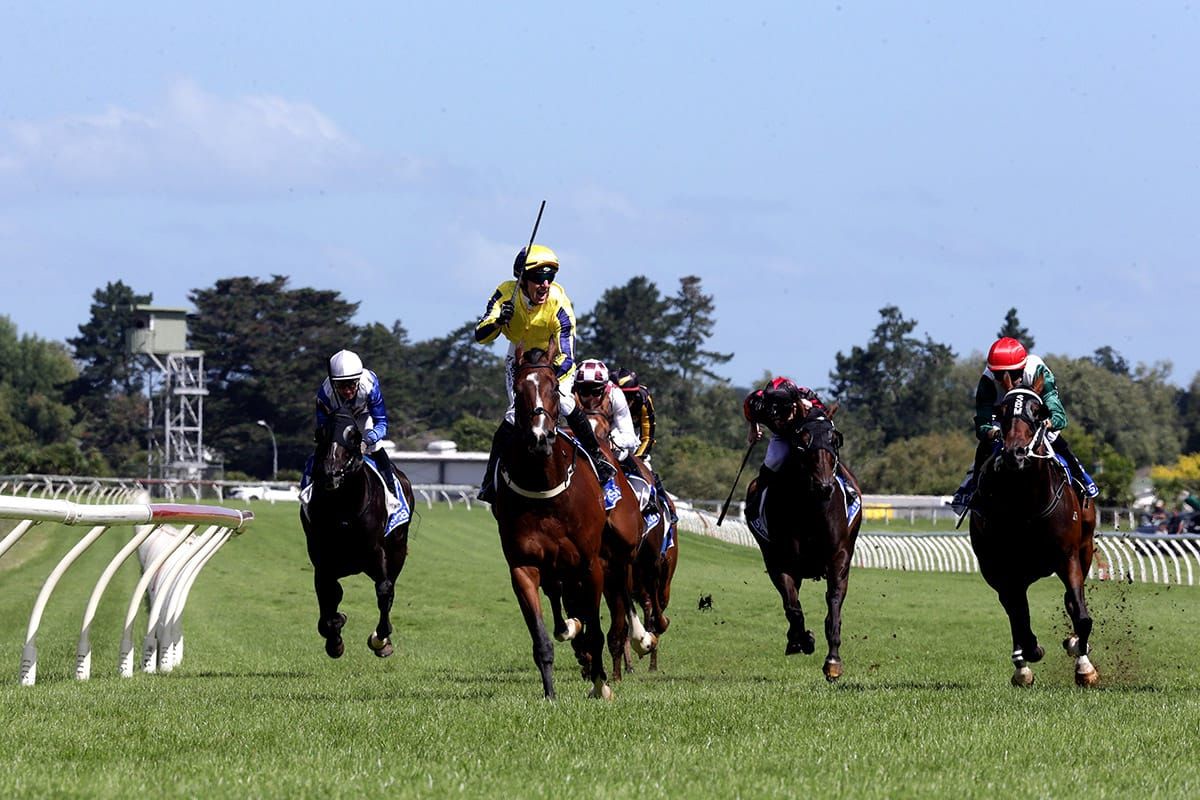 Wexford celebrate Group One win with Waitak