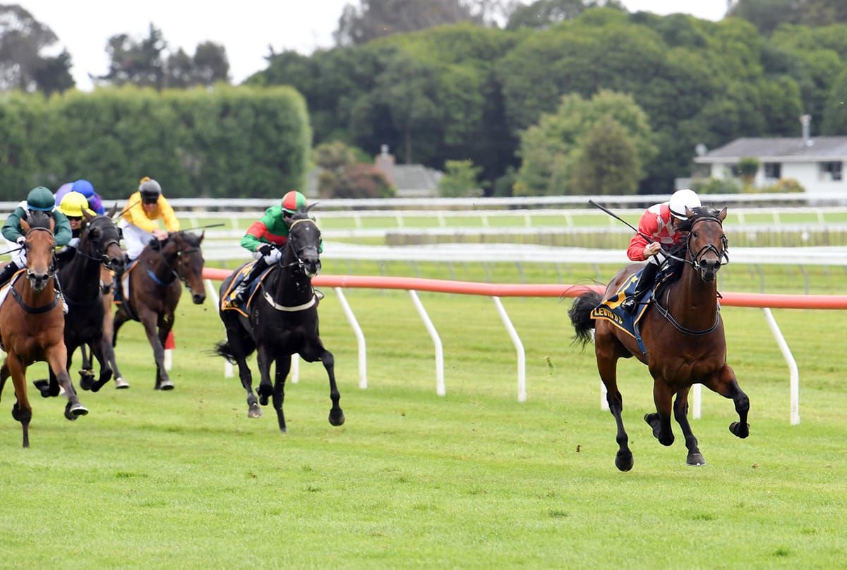 Zabmanzor spot on for Levin Classic