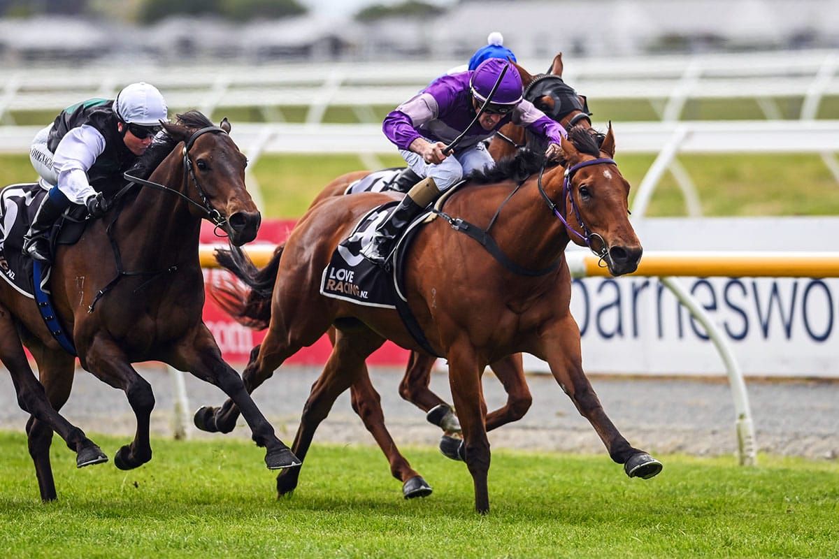 Eptimum back after long lay-off